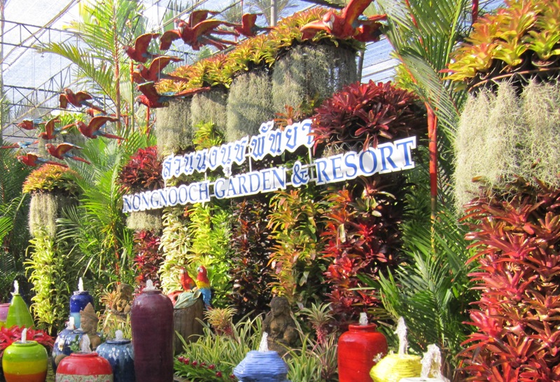 Тропический сад Паттайя Таиланд